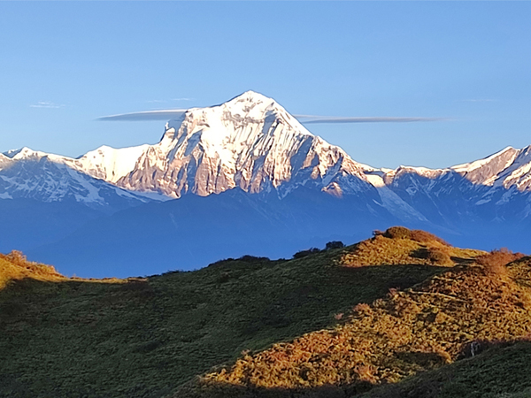 Ghorepani Poon Hill Trek Cost